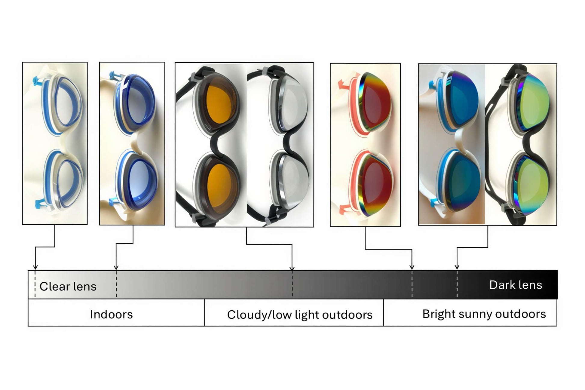 Snake & Pig Basilisk Swimming Goggles